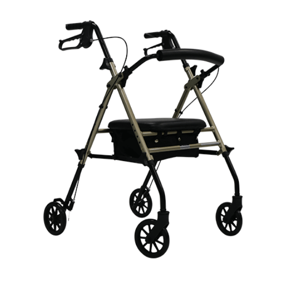 Aspire Vogue indoor walker